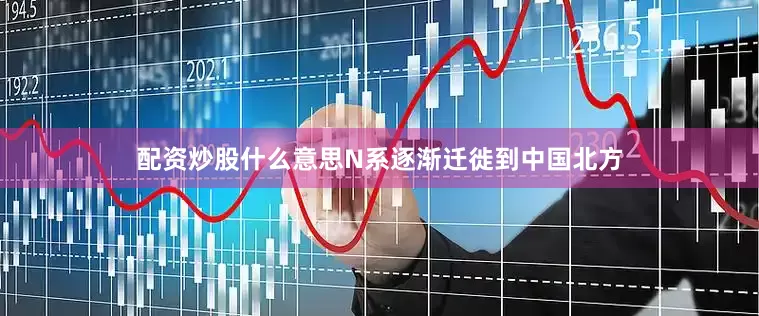 配资炒股什么意思N系逐渐迁徙到中国北方