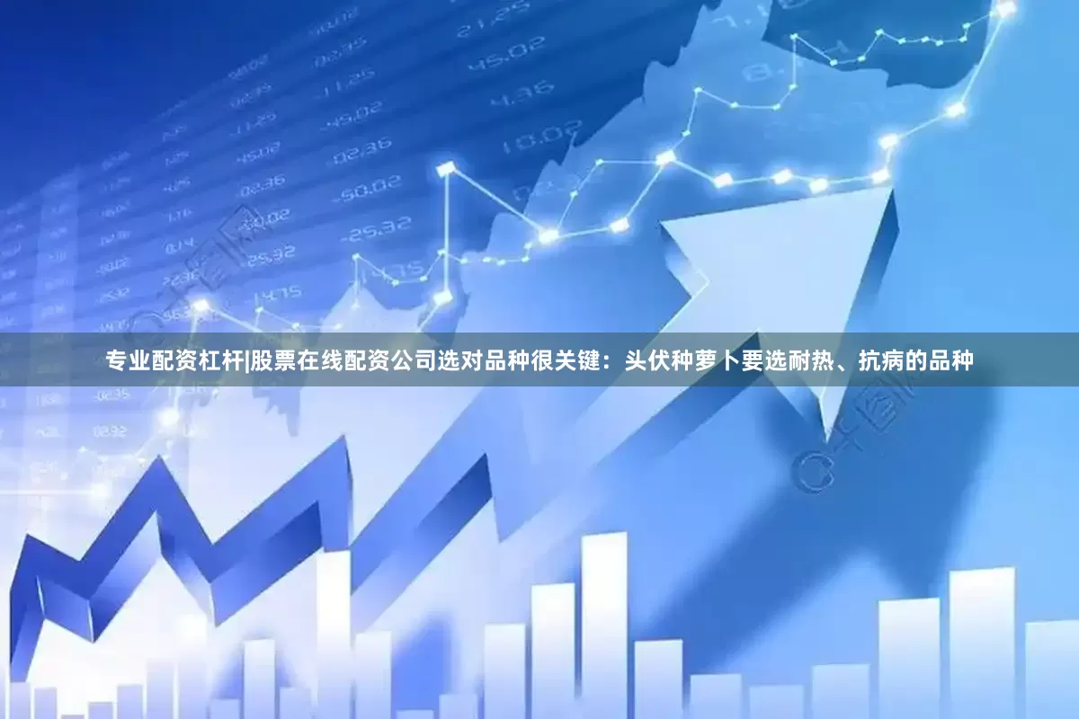 专业配资杠杆|股票在线配资公司选对品种很关键：头伏种萝卜要选耐热、抗病的品种